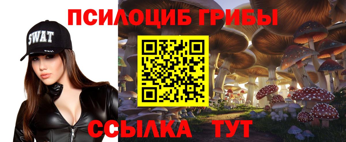 Брянск  Псилоцибиновые грибы ЛСД  где продают   Вход с VPN 